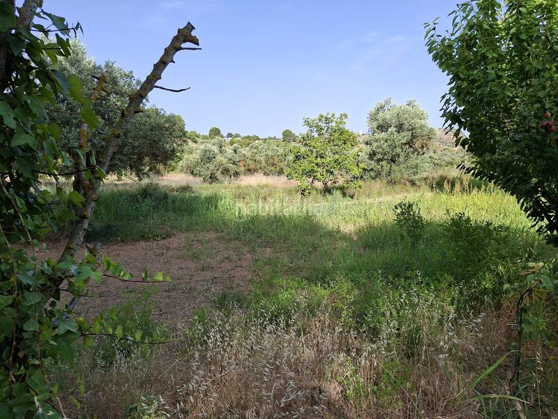 Foto f780a0c0-5d45-441e-bcd4-289a34b2752e. Masia amb piscina a Caspe