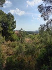 Bauernhof  T-723. Finca con agua de 10.500m2 + casa de 61m2. batea. 36.000€