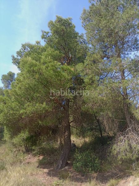 Foto 2f4d7176-2f89-4a3d-b77a-db0d30a58aac. Masia a Batea