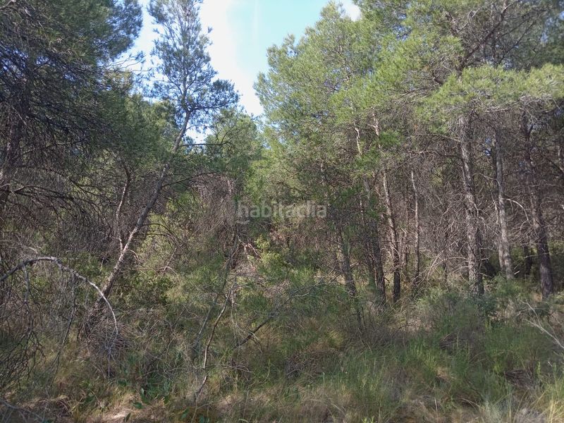 Foto f39dbe30-9a44-495f-a1de-b868b60340af. Masia a Batea