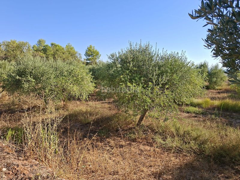Foto 03398ee0-1ea9-467d-a464-3d5b71dfc7dd. Finca rústica a Gandesa