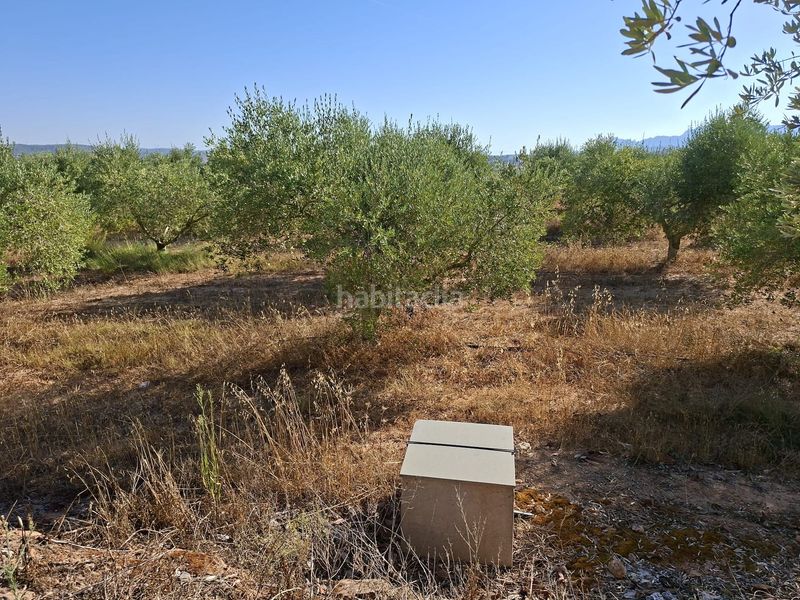 Foto 19276589-ab00-4837-9395-bb985ed7a892. Finca rústica a Gandesa