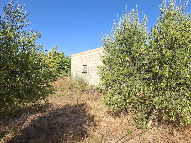 Foto 5b9ad748-4904-4a90-b902-61aacfb78a62. Finca rústica a Gandesa