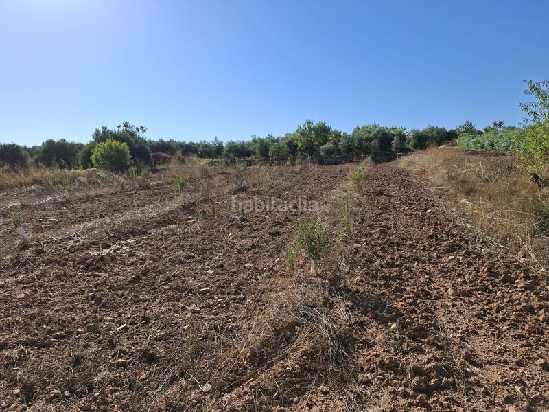 Foto 7ae04be9-94f6-4632-85ea-41274eafb957. Finca rústica a Gandesa