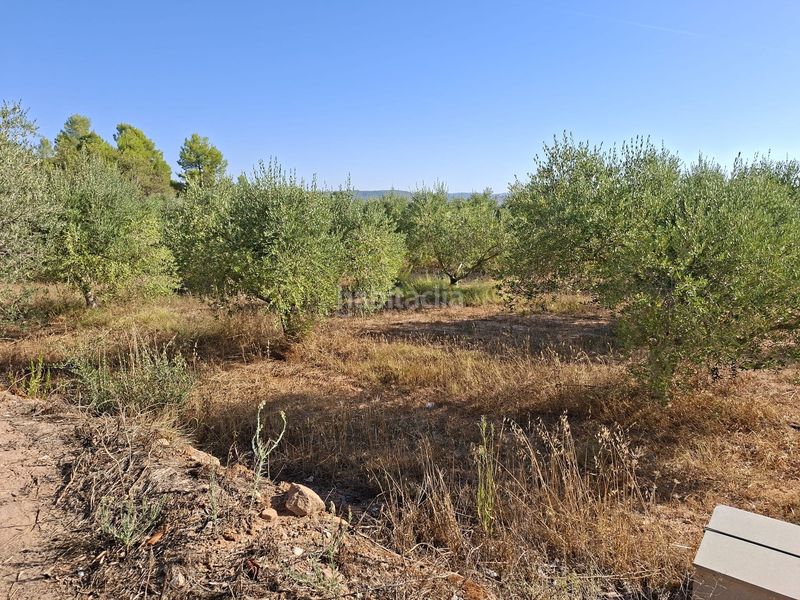 Foto 8254fde7-812c-4f87-a5c2-de1f9dfdbf8f. Finca rústica a Gandesa