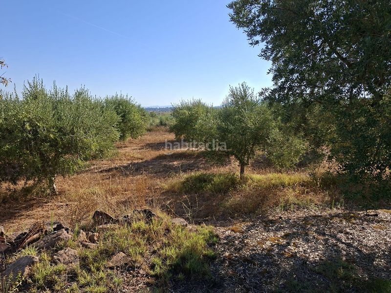 Foto 94284376-2bd9-4645-b474-05e88a143fbe. Finca rústica a Gandesa