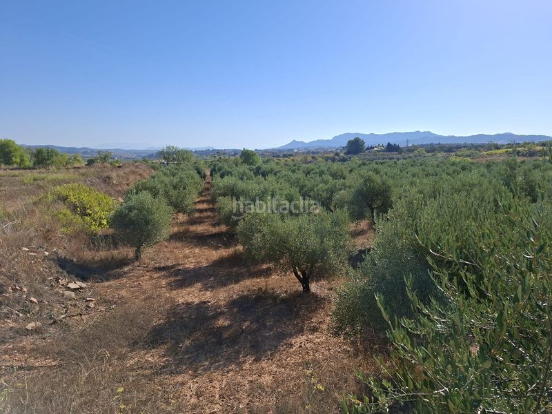 Foto 9a487daf-9c72-4d53-a1d2-2bec7a15c535. Finca rústica a Gandesa