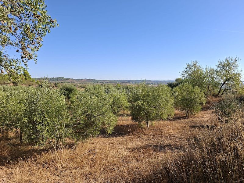 Foto a5319ddf-1a20-4cea-9564-b994258d20f7. Finca rústica a Gandesa