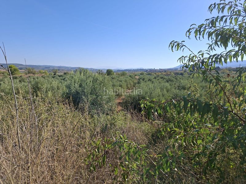 Foto cf16d485-5801-47db-a0dd-993a42cf95ae. Finca rústica a Gandesa