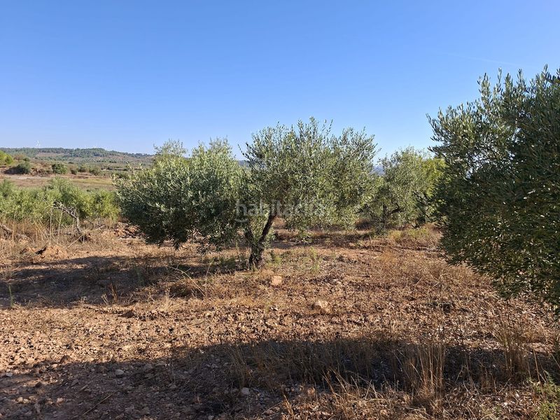 Foto db31975b-ac10-4e43-a251-50e8164e99d7. Finca rústica a Gandesa