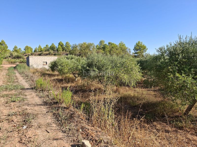 Foto f12d6ed4-ebf5-441d-abbb-92820502667c. Finca rústica a Gandesa