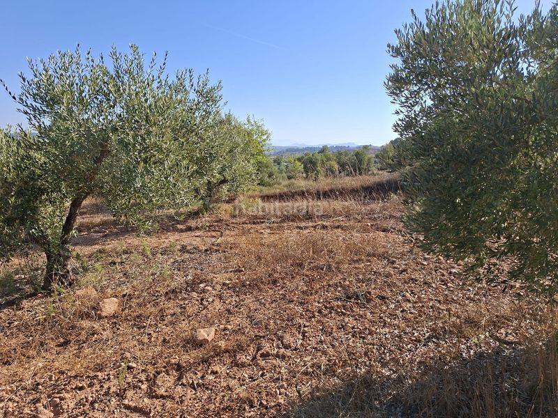 Foto f470d0a3-f707-4967-a50c-dcb3ed1aeaa3. Finca rústica a Gandesa