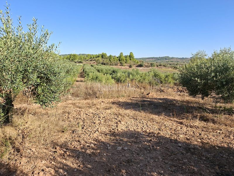 Foto faefea7a-7431-46c9-a2bc-63304022752c. Finca rústica a Gandesa