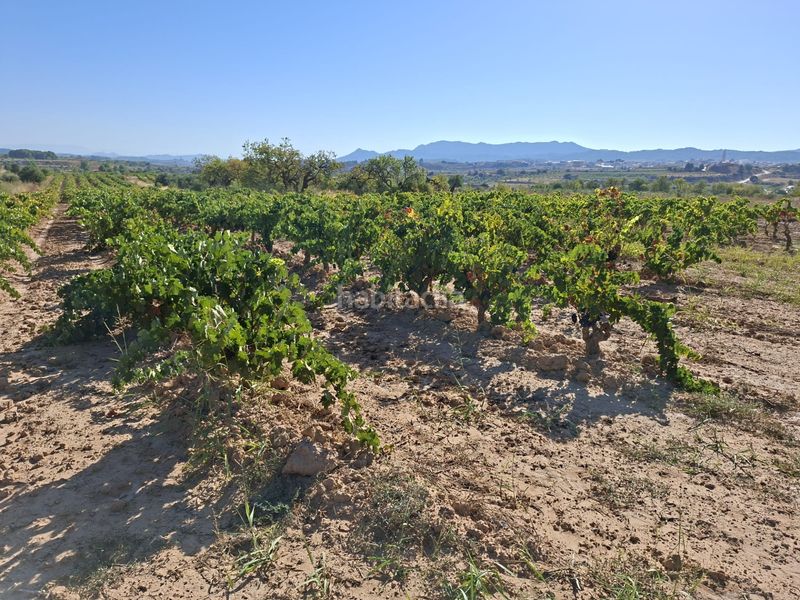 Foto 3bb5e56e-6466-4799-ac23-66c3a3fb14be. Finca rústica a Gandesa
