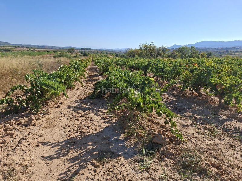 Foto 61d48a57-79e2-4fd0-9f51-54450695c8ef. Finca rústica a Gandesa