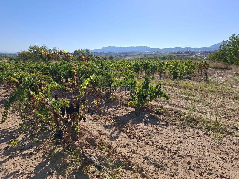 Foto 69f85d03-2933-4aac-8c09-28e2967efffa. Finca rústica a Gandesa