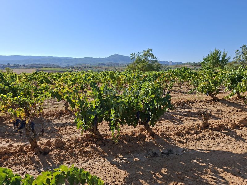 Foto b430c5f5-ec72-49e7-b3dd-6753b41a1d53. Finca rústica a Gandesa