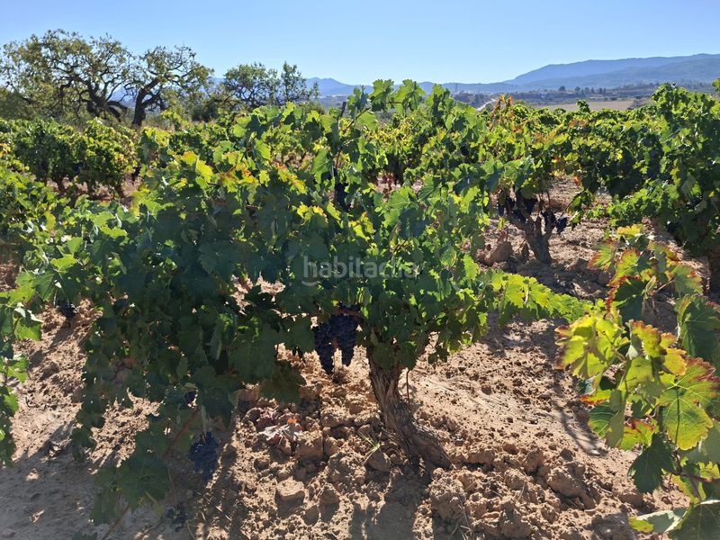 Foto eab1128c-21ff-4837-a624-ec3b16a48699. Finca rústica a Gandesa