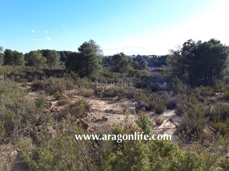 Foto 06a0e615-bbf7-41f5-aa0d-3e58581b78c0. Finca rústica a Fabara