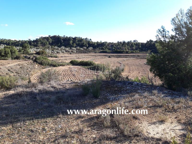 Foto 160ffe65-3fc7-44c2-b177-f299a10a18c3. Finca rústica a Fabara