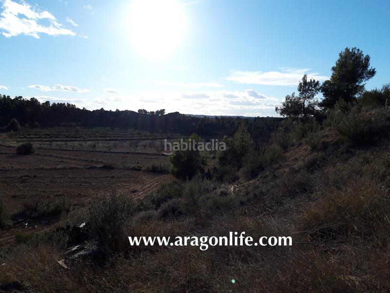 Foto 380f848d-ba8c-4963-81ec-055c36abd5ee. Finca rústica a Fabara