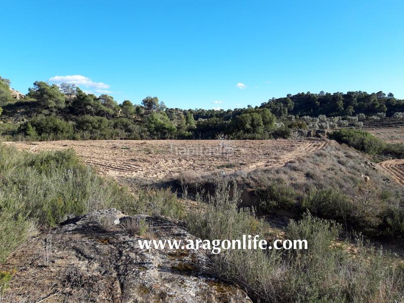 Foto 46ccbe63-a480-42a5-a308-e34bf6f85744. Finca rústica a Fabara