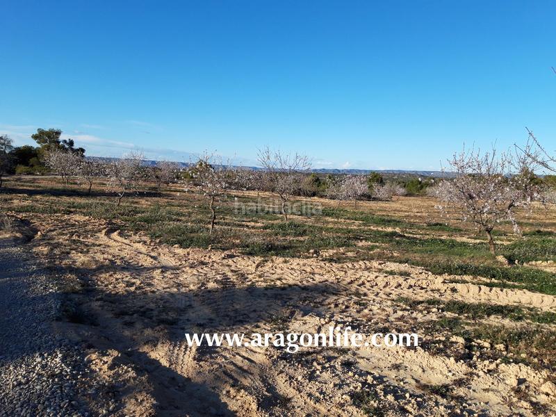 Foto 4939a4dc-7e3d-466f-986a-97350bc24515. Finca rústica a Fabara