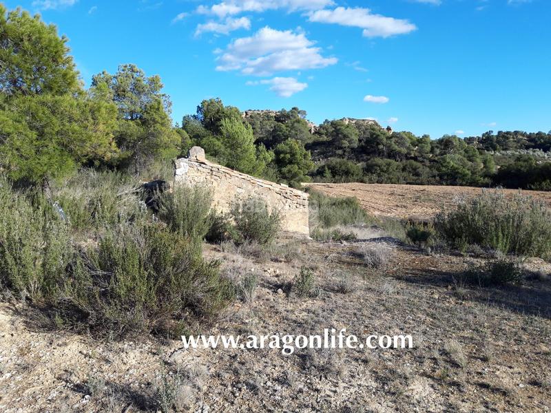 Foto 5188eb5e-ae8e-423b-81cd-f140a12f65a3. Finca rústica a Fabara