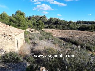 Finca rústica a Fabara. Finca con casita, cerca de la estación de tren de fabara