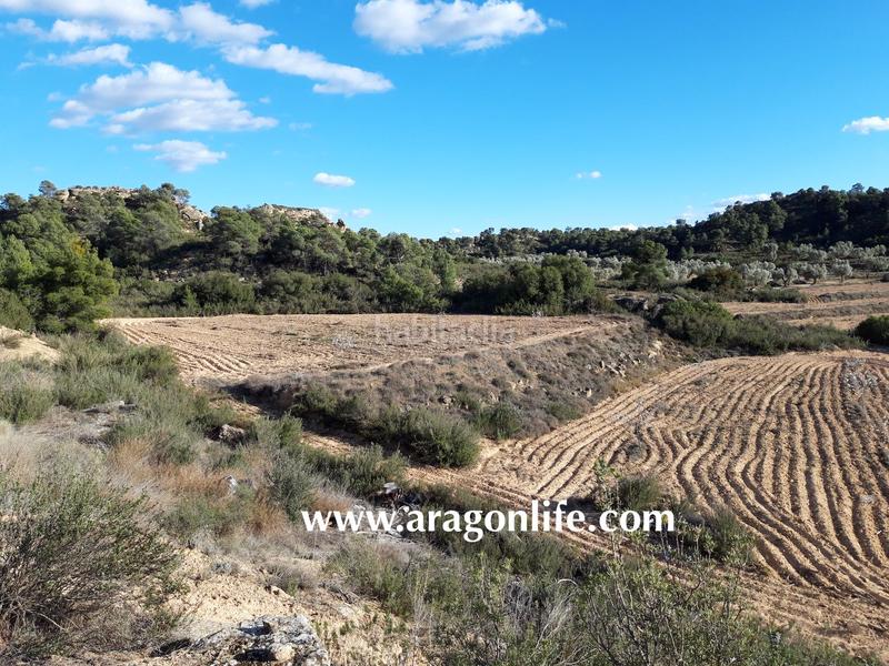 Foto 5939f07d-19f2-4bf5-9110-f2c6bfbc4fee. Finca rústica a Fabara