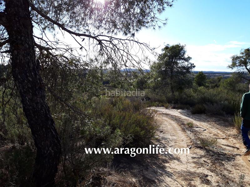 Foto 5d28e081-1703-4798-b0e0-4c48a76cb187. Finca rústica a Fabara