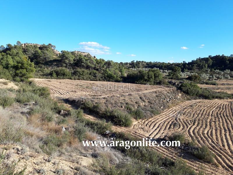 Foto 6a922e54-2371-4ae0-be8a-46751f4b7840. Finca rústica a Fabara