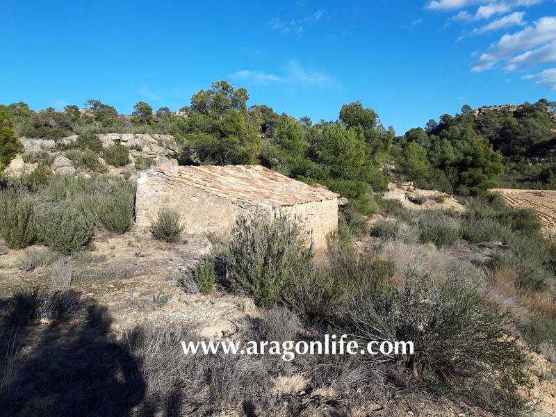 Foto 724dab50-7f42-43f1-a489-24ee13efe317. Finca rústica a Fabara