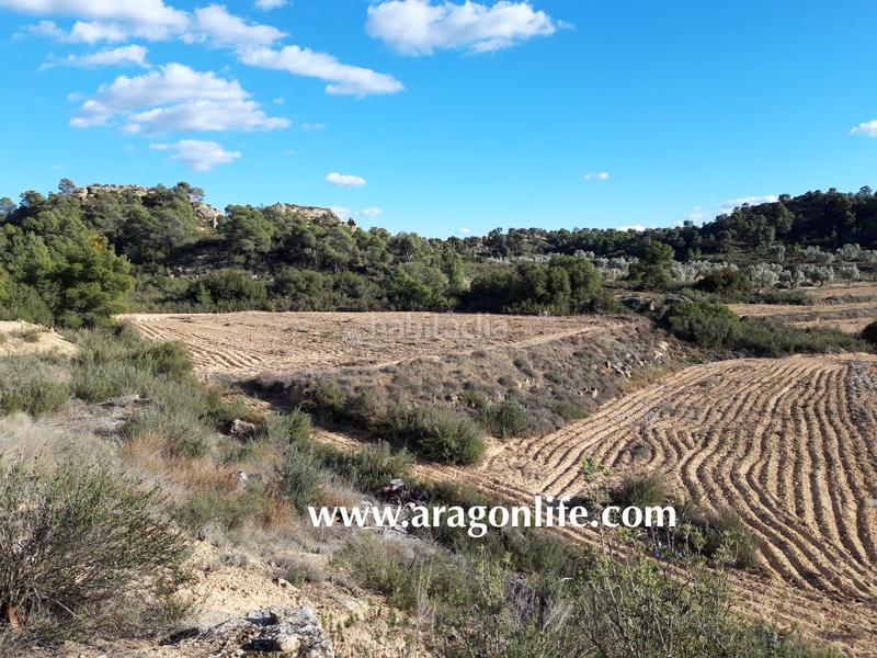 Foto 7c109ded-b6e7-4754-9662-3d110cd5e7f6. Finca rústica a Fabara