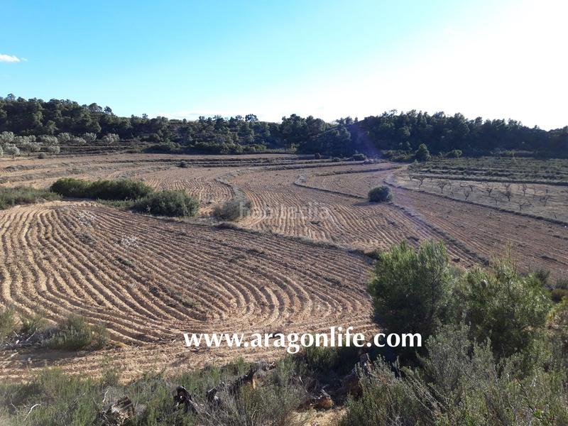 Foto 7e08f1df-9a62-45aa-9f13-eafd2cdd1202. Finca rústica a Fabara