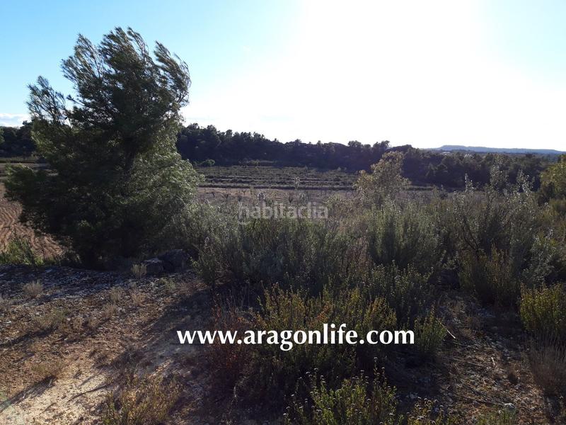 Foto 86e44326-9b42-48a1-8306-052a392cd441. Finca rústica a Fabara