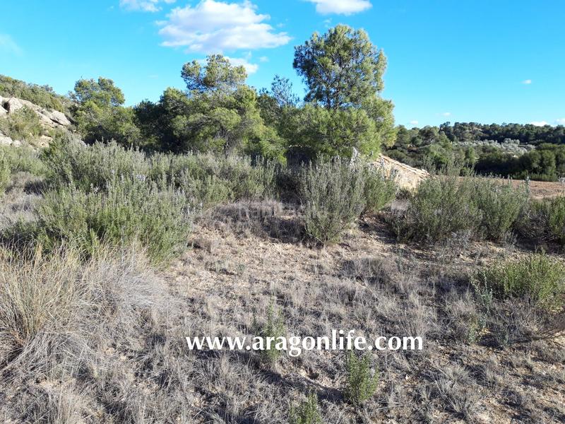 Foto aa1c9335-d7a3-481d-97cc-d100ae0d56b8. Finca rústica a Fabara