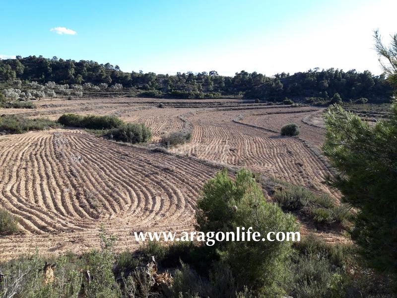 Foto ad16591b-bc50-44a3-8564-13e7c50ca35a. Finca rústica a Fabara