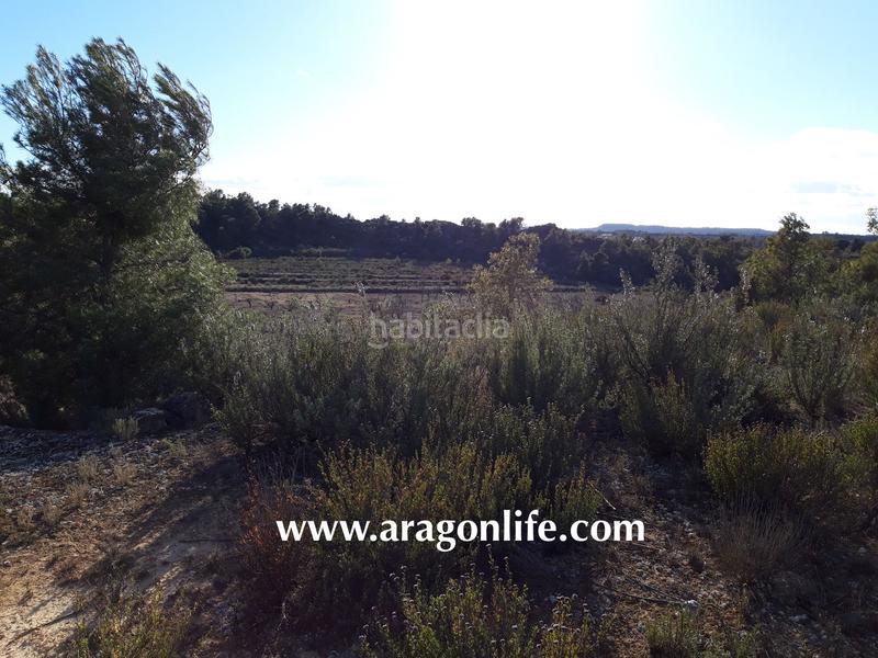 Foto c06c9089-5a2d-4c16-a482-9aa6b868245e. Finca rústica a Fabara