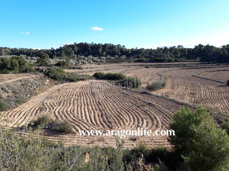 Foto d56ff911-204f-411d-ae73-30f8a36acbac. Finca rústica a Fabara