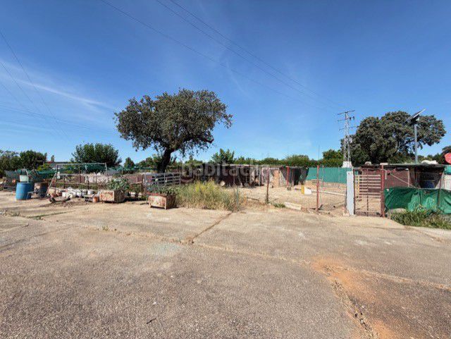 Foto d208f141-d0f8-4ac4-b149-f6f2a631ca57. Nau industrial a Dehesilla de Calamón - Campomanes Badajoz