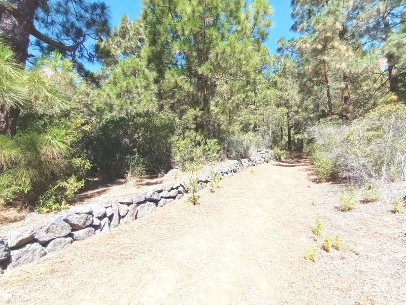 Foto 355cec1d-689e-4ba7-8e2b-96f1ba70278d. Xalet amb aparcament a Arafo