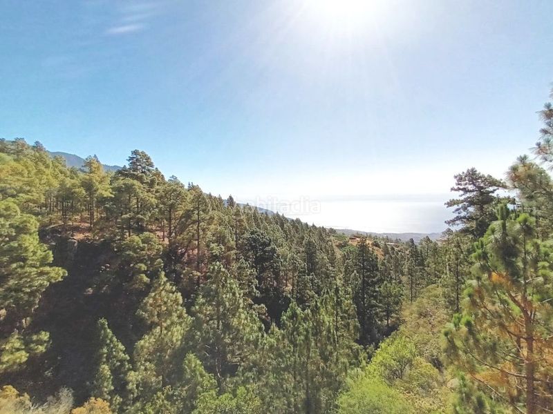 Foto 85f93d72-59c0-4013-8484-f415f1f17c8a. Xalet amb aparcament a Arafo