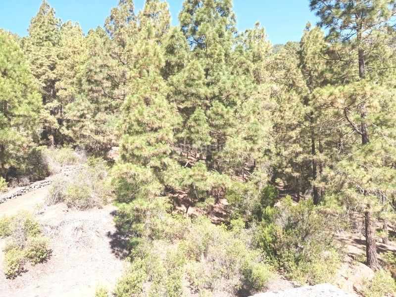 Foto 9eacf1df-9ae2-491f-80bc-393d2f6c3a5f. Xalet amb aparcament a Arafo