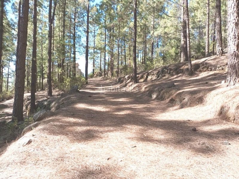 Foto a3ac53f5-4be6-477e-809b-f418a168ae0a. Xalet amb aparcament a Arafo