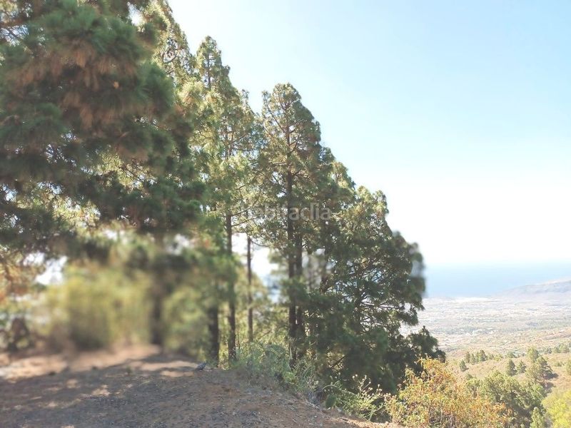 Foto bf6b0c3e-f796-4f96-930c-04e89297ab01. Xalet amb aparcament a Arafo