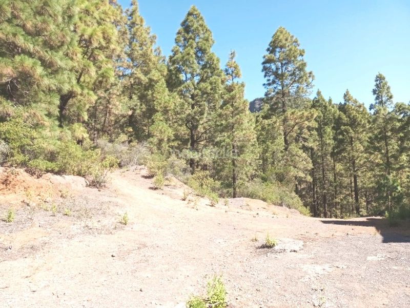 Foto d21ed354-7df0-4b9c-bde4-d42d3d1cec6d. Xalet amb aparcament a Arafo