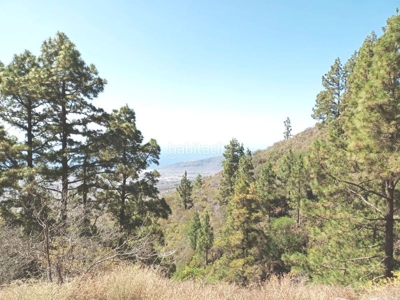 Foto fae8115d-be70-43a2-9f39-2c987b7c30f1. Xalet amb aparcament a Arafo