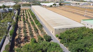 Finca rústica  Carretera güímar a puertito de güímar