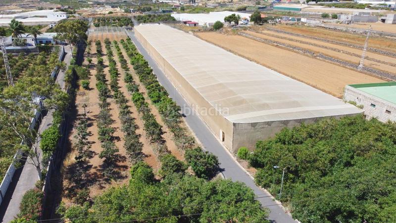 Foto 3994796e-7508-4ac2-9d15-b08997c83cb8. Finca rústica en Centro Güímar